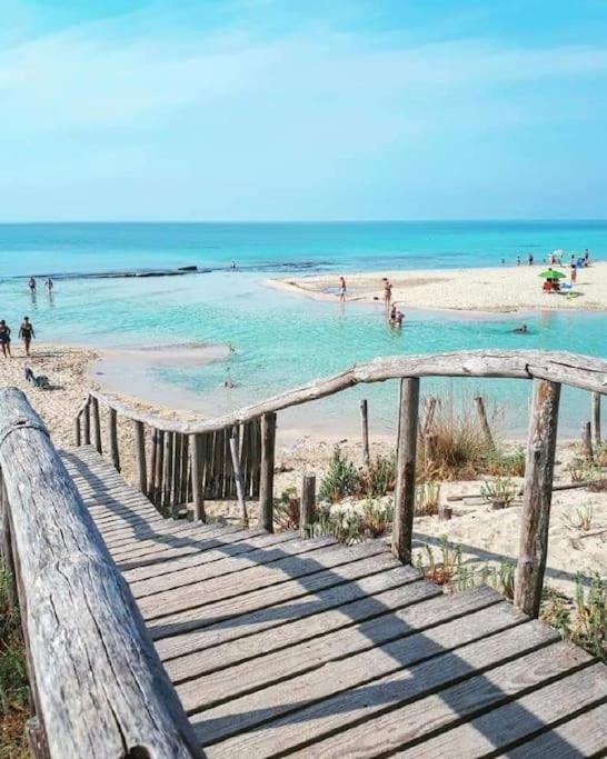 Villa Delle Stelle Con Piscina ليفيرانو المظهر الخارجي الصورة