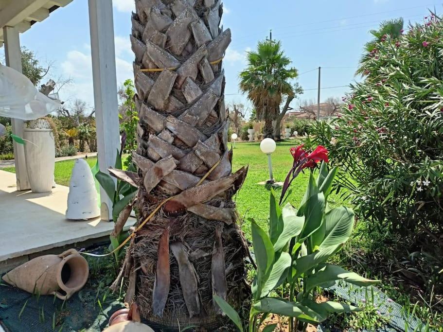 Villa Delle Stelle Con Piscina ليفيرانو المظهر الخارجي الصورة