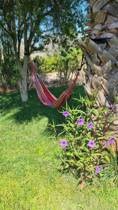 Villa Delle Stelle Con Piscina ليفيرانو المظهر الخارجي الصورة
