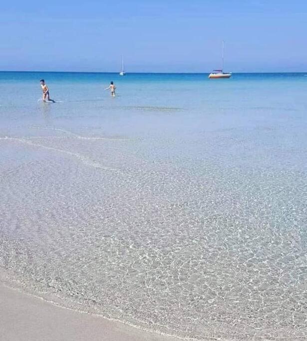 Villa Delle Stelle Con Piscina ليفيرانو المظهر الخارجي الصورة